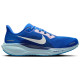 Nike Air Zoom Pegasus 41